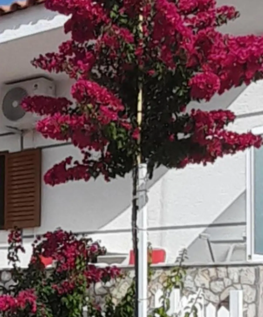 Luxury Dennis Home Sarandë 0*,  Albánie